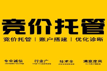 推广信息流在电商行业的应用案例分析